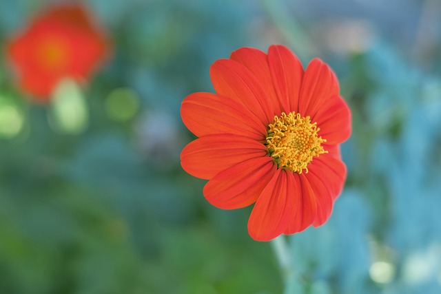 看似不可能 看似不可能