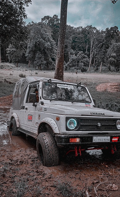 更是对生态 更是对生态