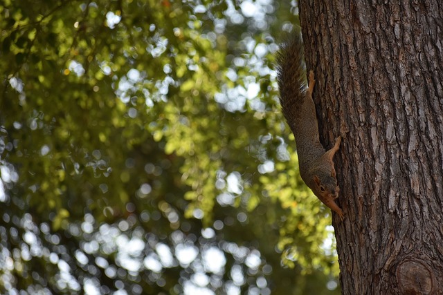 锦上添花 锦上添花