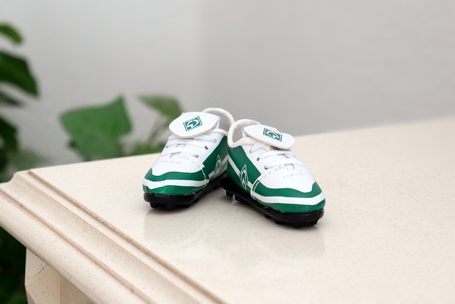 教练和团队 教练和团队