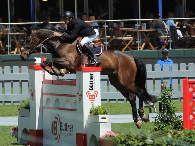 足球世界中 足球世界中