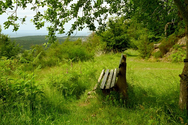 令人激动的 令人激动的