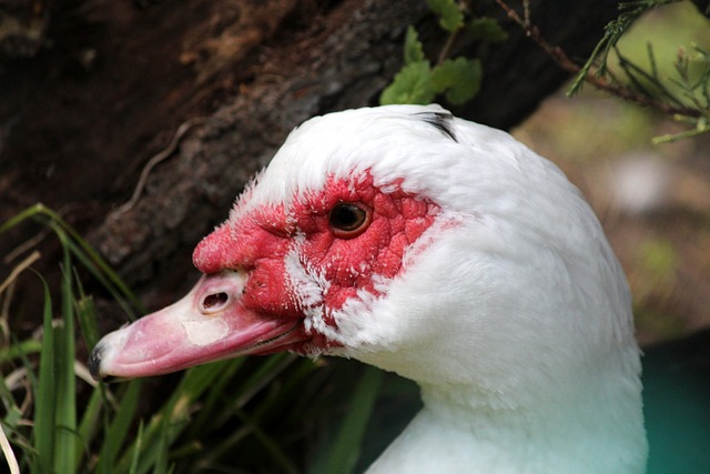 个重要的观 个重要的观