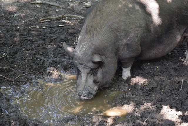 极出台政策 极出台政策
